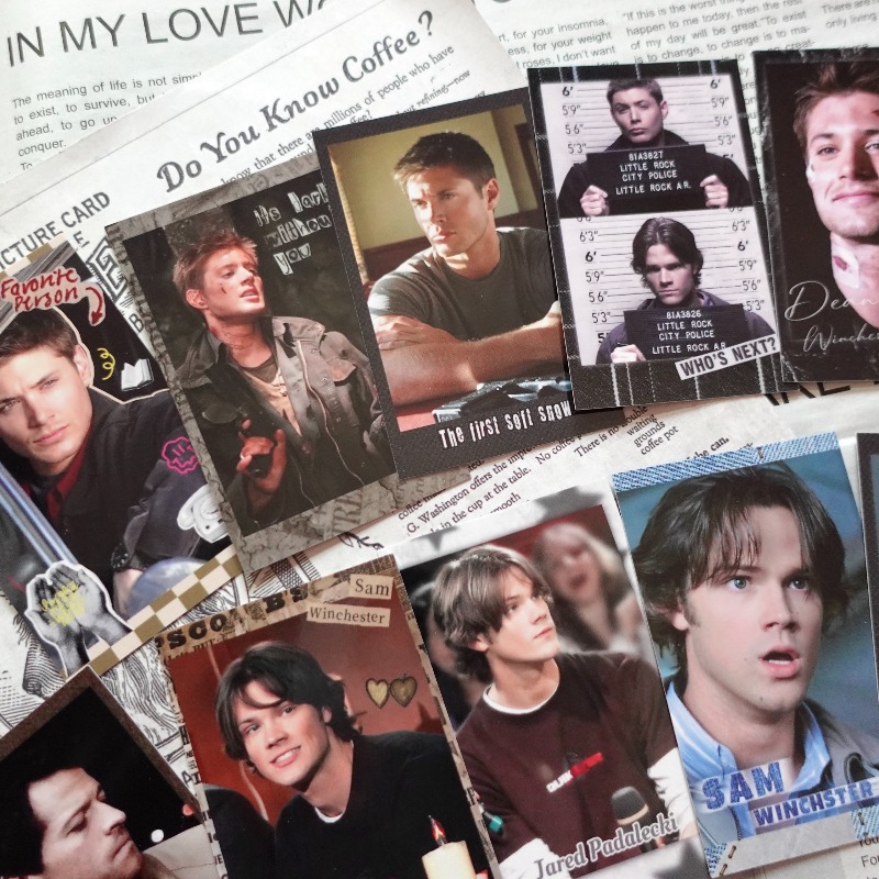 Supernatural SPN Dean & Sam Vi – Vintage Collectible Show Bewertung und Preis